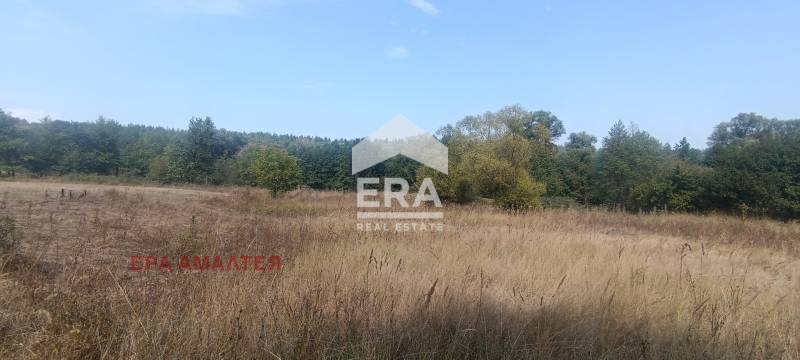 À vendre  Parcelle Sofia , Bistritsa , 800 m² | 47395075 - image [3]