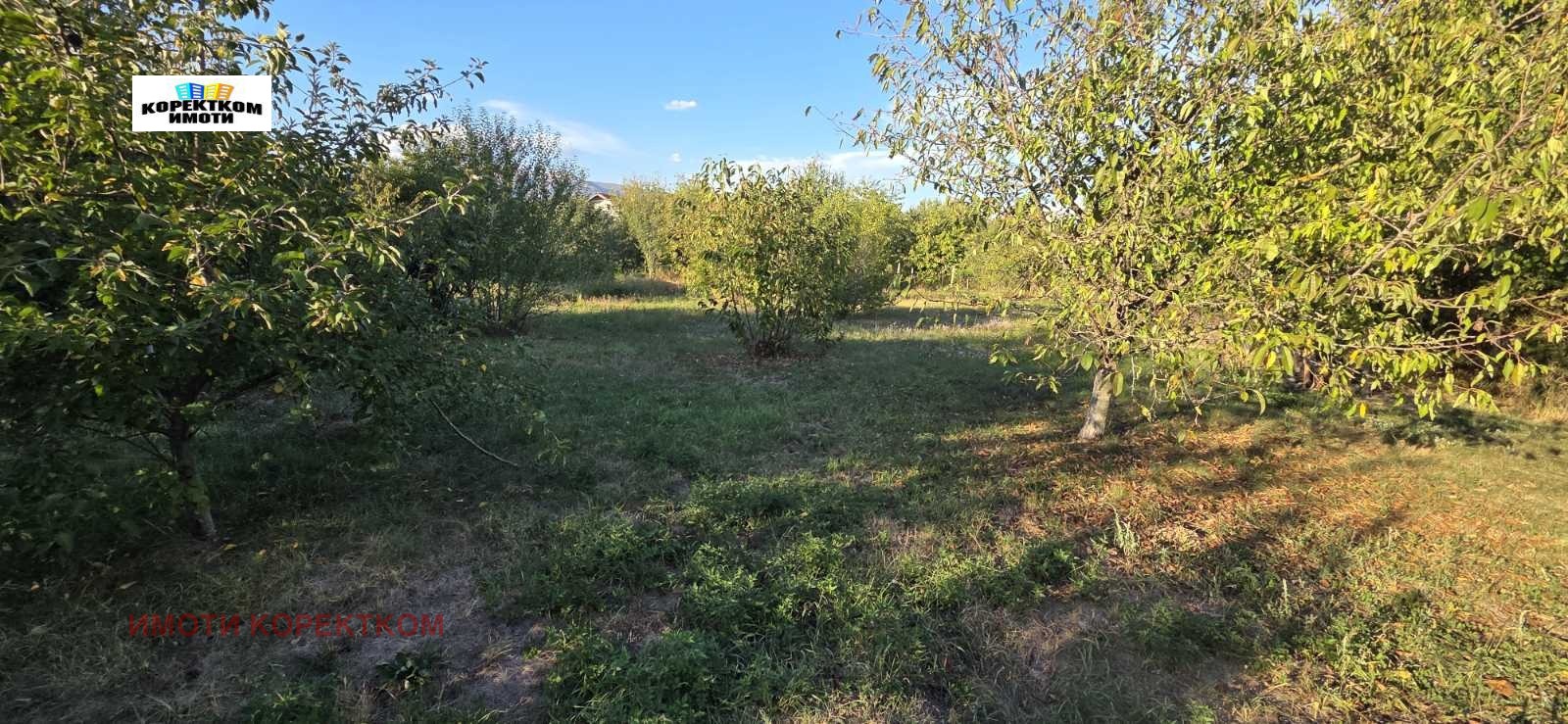 Продава КЪЩА, с. Невестино, област Кюстендил, снимка 10 - Къщи - 53620171