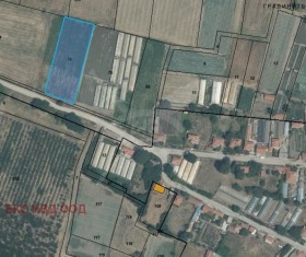 Parcelle Vinitsa, région Plovdiv