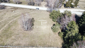 ������ ������� ������