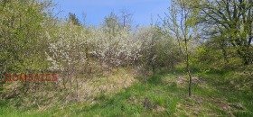 ������� ������ | Imot.bg � ����� ������ 3