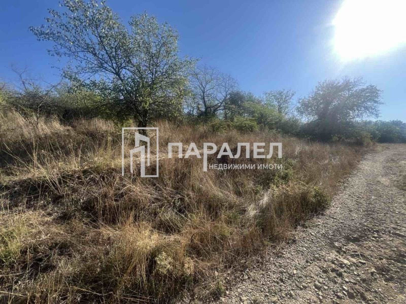 Продава  Парцел област Стара Загора , с. Пряпорец , 1056 кв.м | 55183471 - изображение [13]