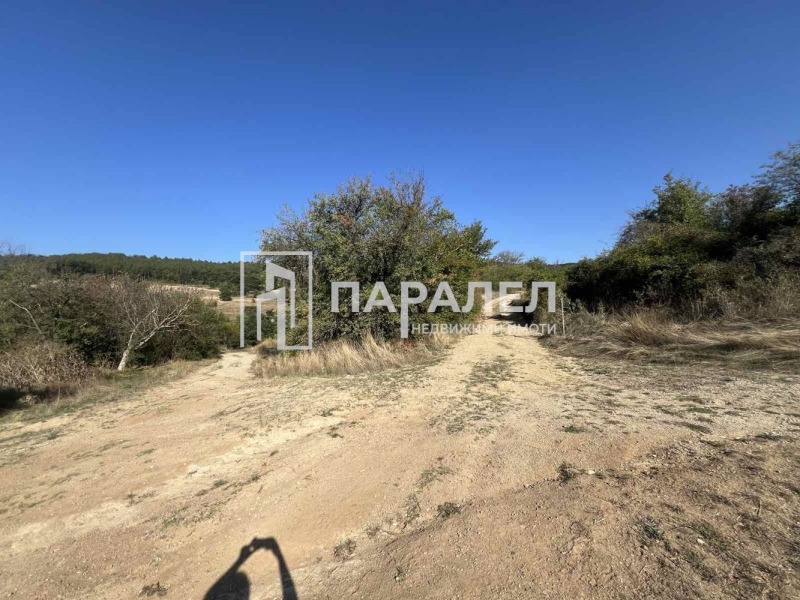 Продава  Парцел област Стара Загора , с. Пряпорец , 1056 кв.м | 55183471 - изображение [3]