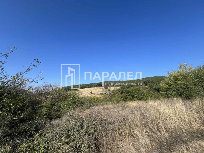 Продава  Парцел област Стара Загора , с. Пряпорец , 1056 кв.м | 55183471 - изображение [6]