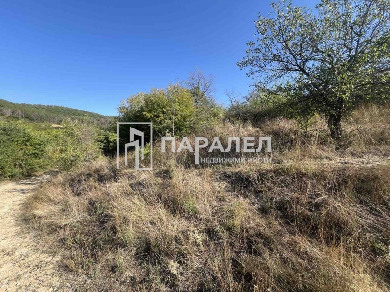 Продава  Парцел област Стара Загора , с. Пряпорец , 1056 кв.м | 55183471 - изображение [12]
