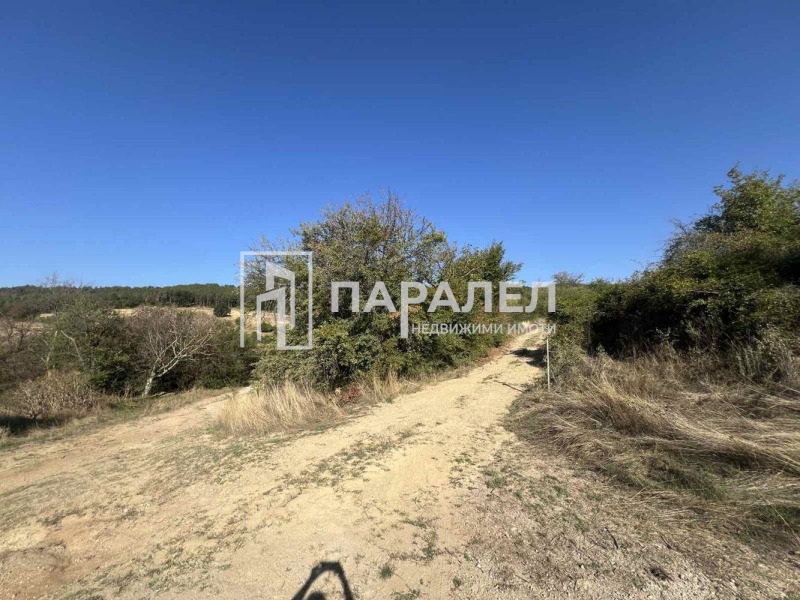 Продава  Парцел област Стара Загора , с. Пряпорец , 1056 кв.м | 55183471 - изображение [5]