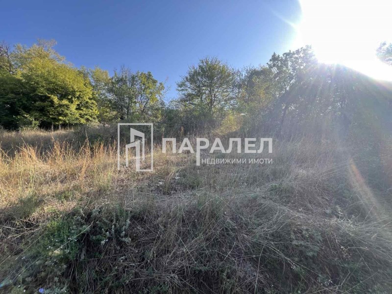 Продава  Парцел област Стара Загора , с. Пряпорец , 1056 кв.м | 55183471 - изображение [10]