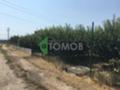 Продава ПАРЦЕЛ, гр. Шумен, Дивдядово, снимка 3