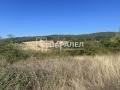 Продава ПАРЦЕЛ, с. Пряпорец, област Стара Загора, снимка 1