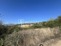 Продава ПАРЦЕЛ, област Стара Загора, с. Пряпорец • 45000 лв. • 81520449 — Holmes.bg