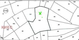 ����� ������� ������,���� �����, ����� ����