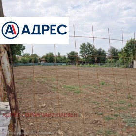 ����� ������� ������,�. ����, ������ ������