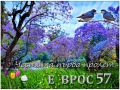 Продава МАГАЗИН, град Пловдив, Център • 244999 € / 479176.39 лв. • 51638783 5