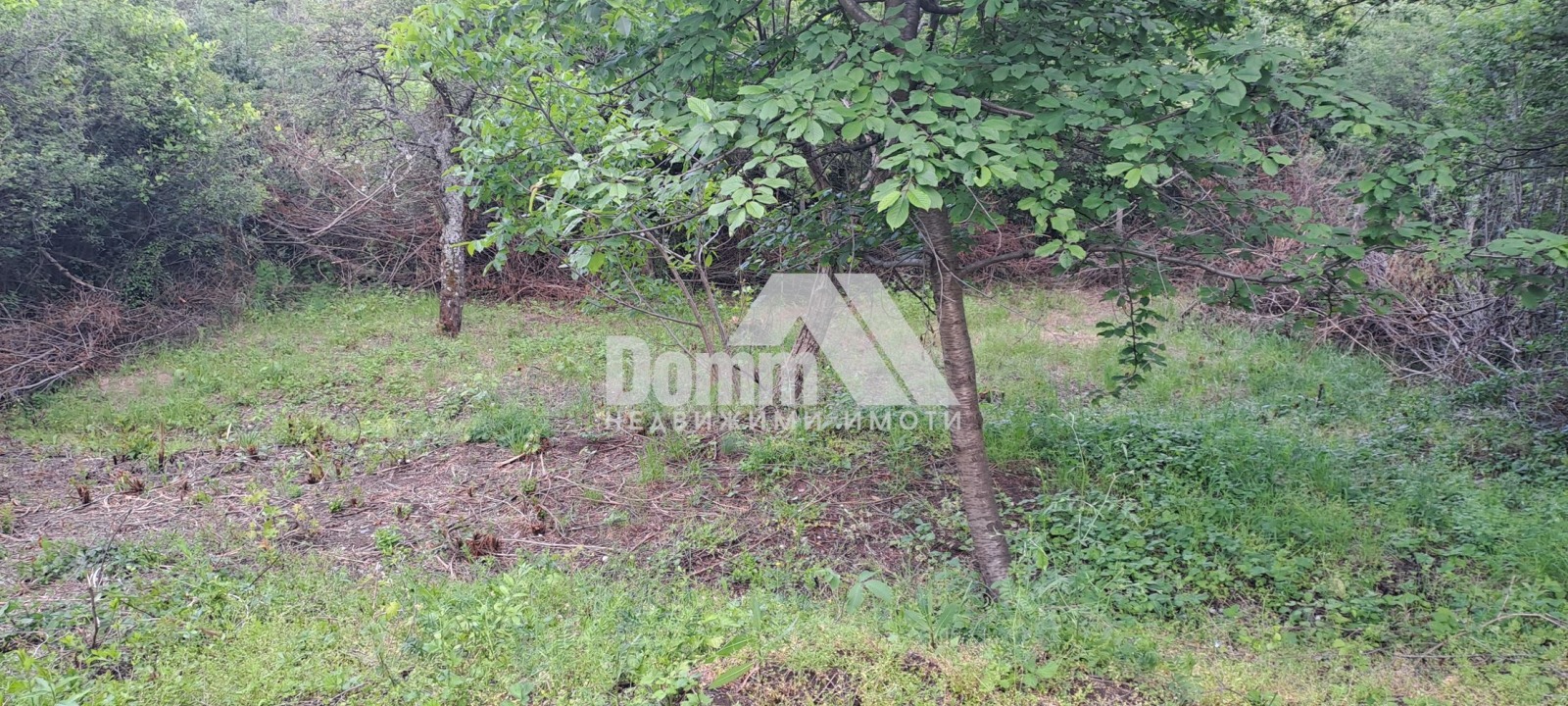 ������� ������ | Imot.bg � ����������� 8