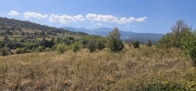 À venda Trama