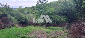 ������� ������ | Imot.bg � ����� ������ 7