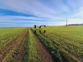 Продава ПАРЦЕЛ, с. Александрово, област Бургас, снимка 5