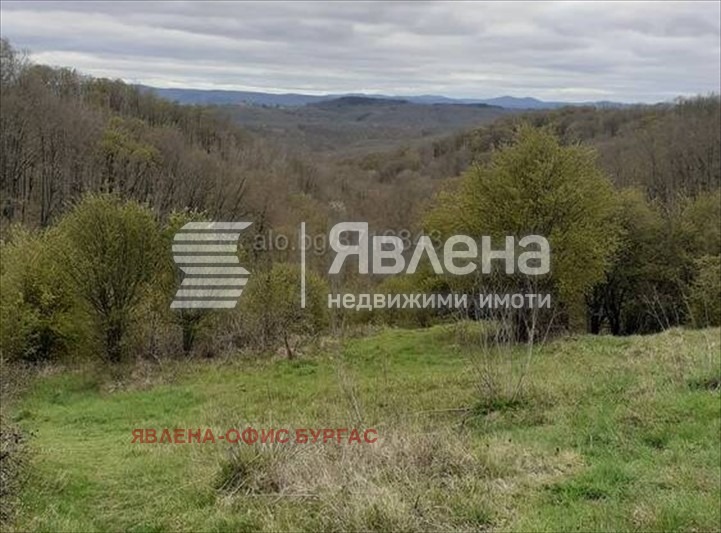 ������� ���� | Imot.bg � ����������� 8