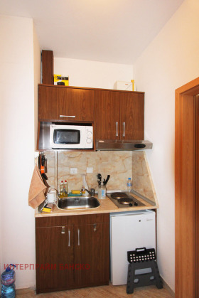 Studio Bansko, region Blagoevgrad 8