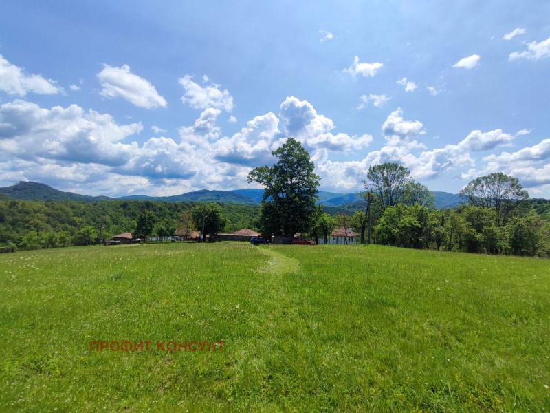 For Sale  Plot region Veliko Tarnovo , Elena , 7000 sq.m | 37677035 - image [2]