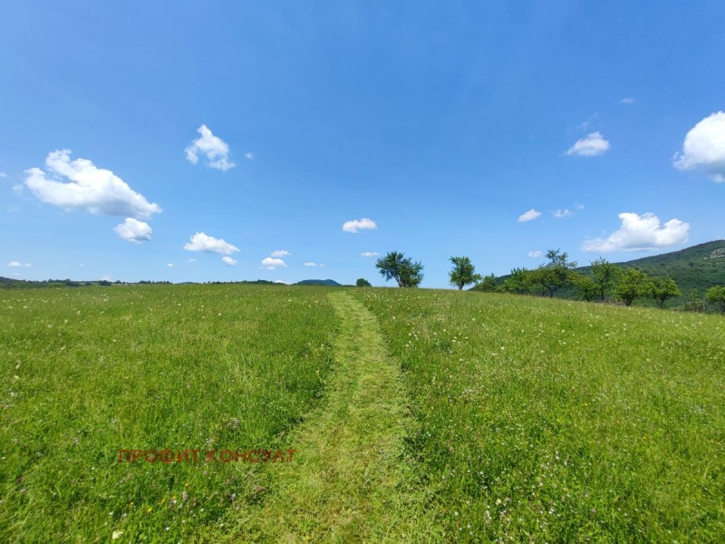 For Sale  Plot region Veliko Tarnovo , Elena , 7000 sq.m | 37677035 - image [5]