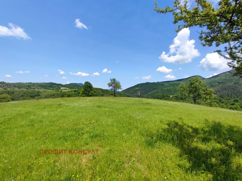 For Sale  Plot region Veliko Tarnovo , Elena , 7000 sq.m | 37677035