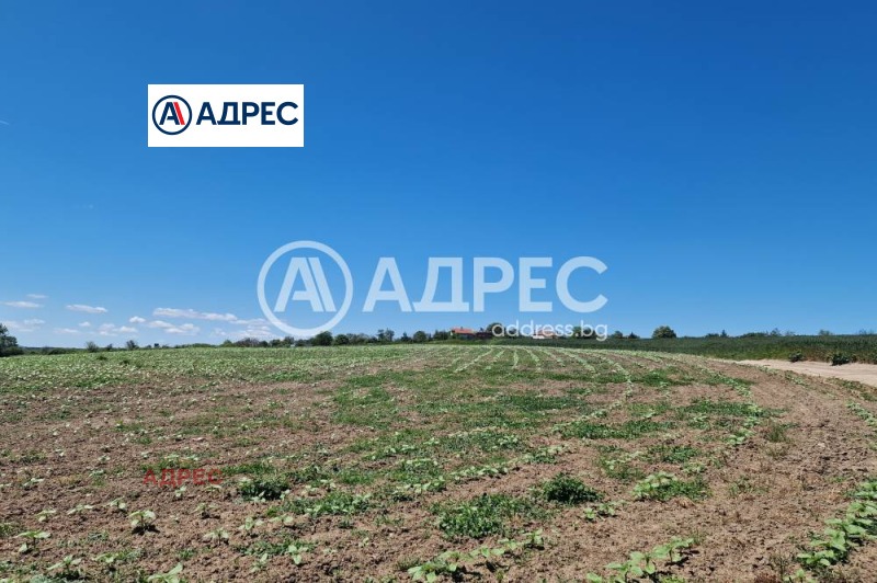 Продаја  Плот регион Варна , Здравец , 14465 м2 | 66898931 - слика [3]
