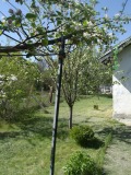 Продава КЪЩА, с. Поцърненци, област Перник, снимка 4