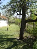 Продава КЪЩА, с. Поцърненци, област Перник, снимка 2