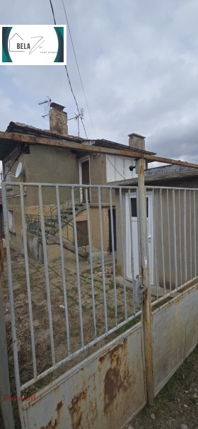 ����� ������� ����,���� ������, ��������