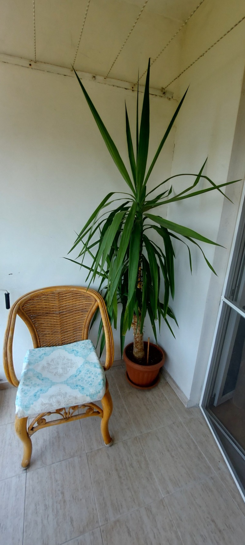 Продава  3-стаен град Хасково , Любен Каравелов , 100 кв.м | 96739034 - изображение [11]