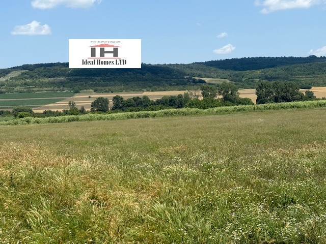 Myytävänä  Talo Veliko Tarnovo alue , Lozen , 320 neliömetriä | 97370940 - kuva [17]