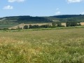 Продава КЪЩА, област Велико Търново, с. Лозен • 100000 € • 77713874 — Holmes.bg