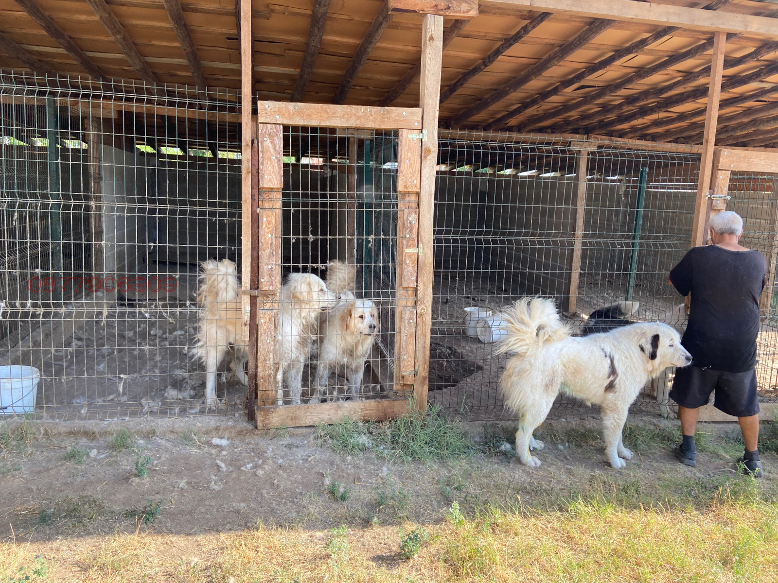 ������� ����� | Imot.bg � ����������� 9