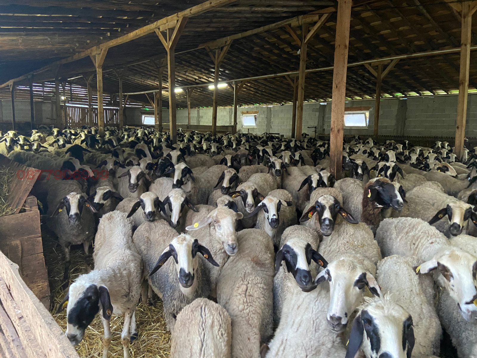 ������� ����� | Imot.bg � ����������� 7