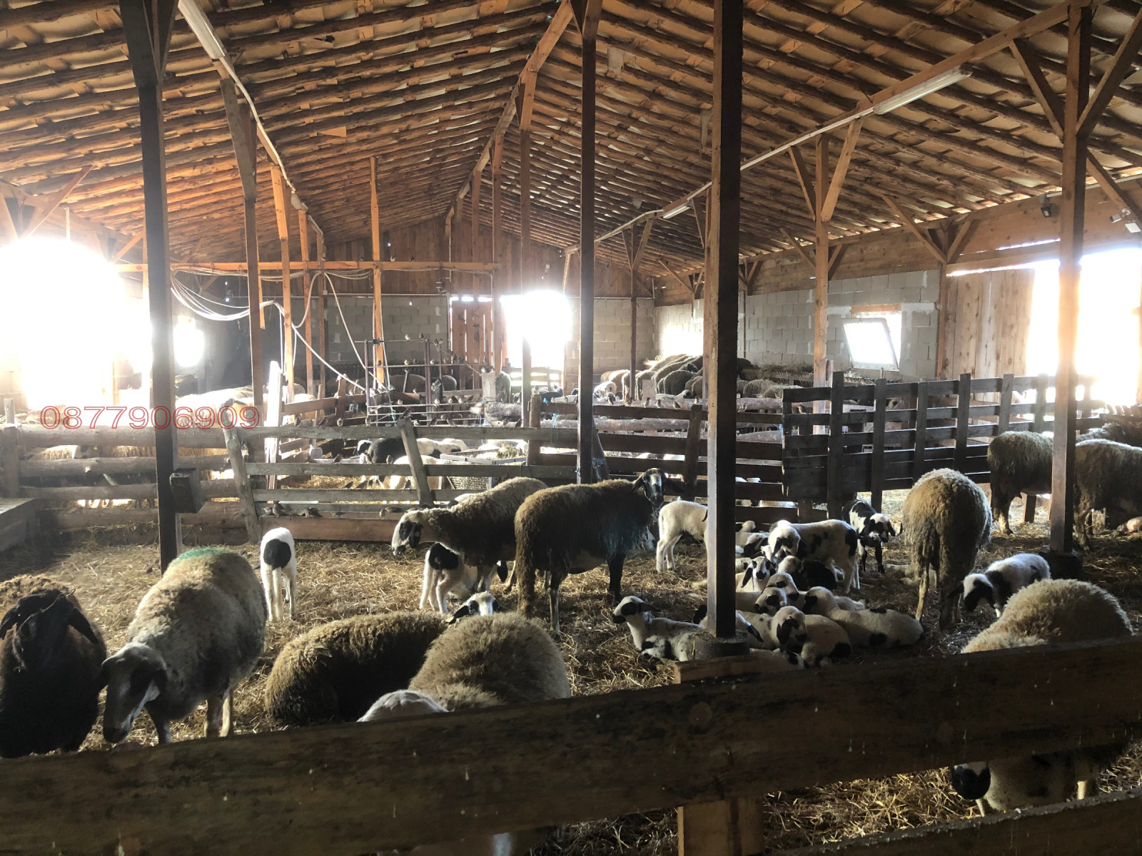 ������� ����� | Imot.bg � ����������� 6