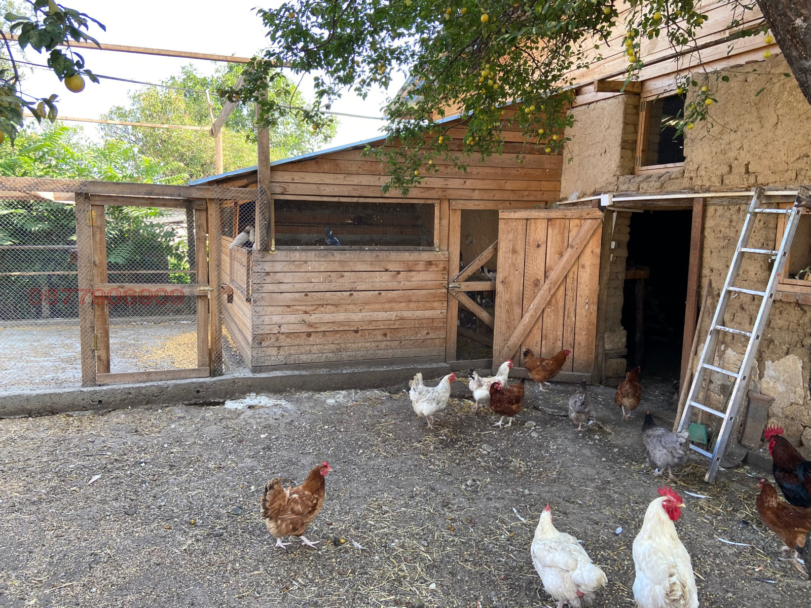 ������� ����� | Imot.bg � ����������� 8