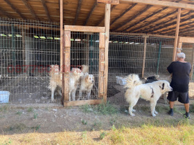 ������� ����� | Imot.bg � ����� ������ 9