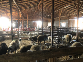 ������� ����� | Imot.bg � ����� ������ 6