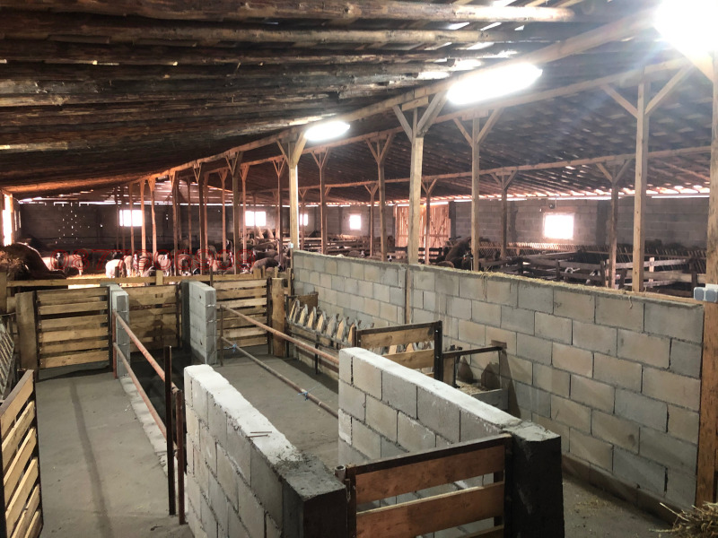 Продава БИЗНЕС ИМОТ, с. Гранит, област Стара Загора, снимка 4 - Други - 53572207