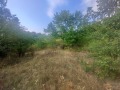 Продава ПАРЦЕЛ, област София, с. Ръжана • 15000 € • 26154622 — Holmes.bg
