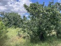 Продава ПАРЦЕЛ, област София, с. Априлово • 95000 € / 185803.85 лв. • 90863145 1