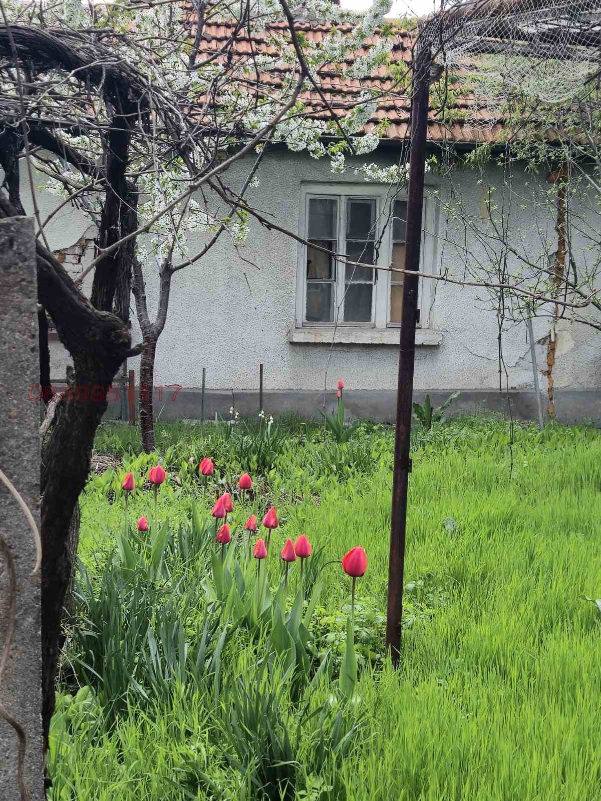 ������� ���� | Imot.bg � ����������� 1