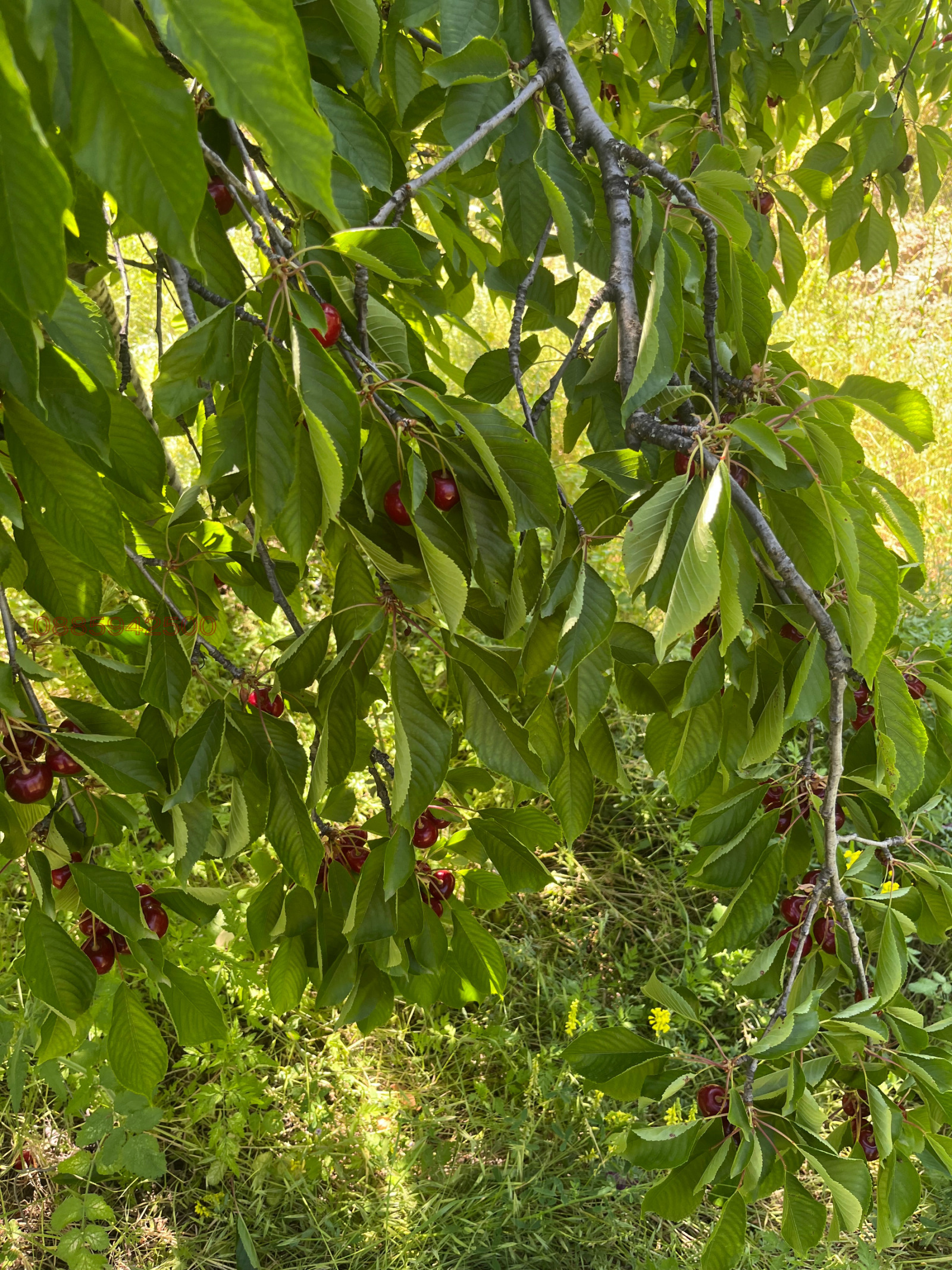 ������� ���������� ���� | Imot.bg � ����������� 2