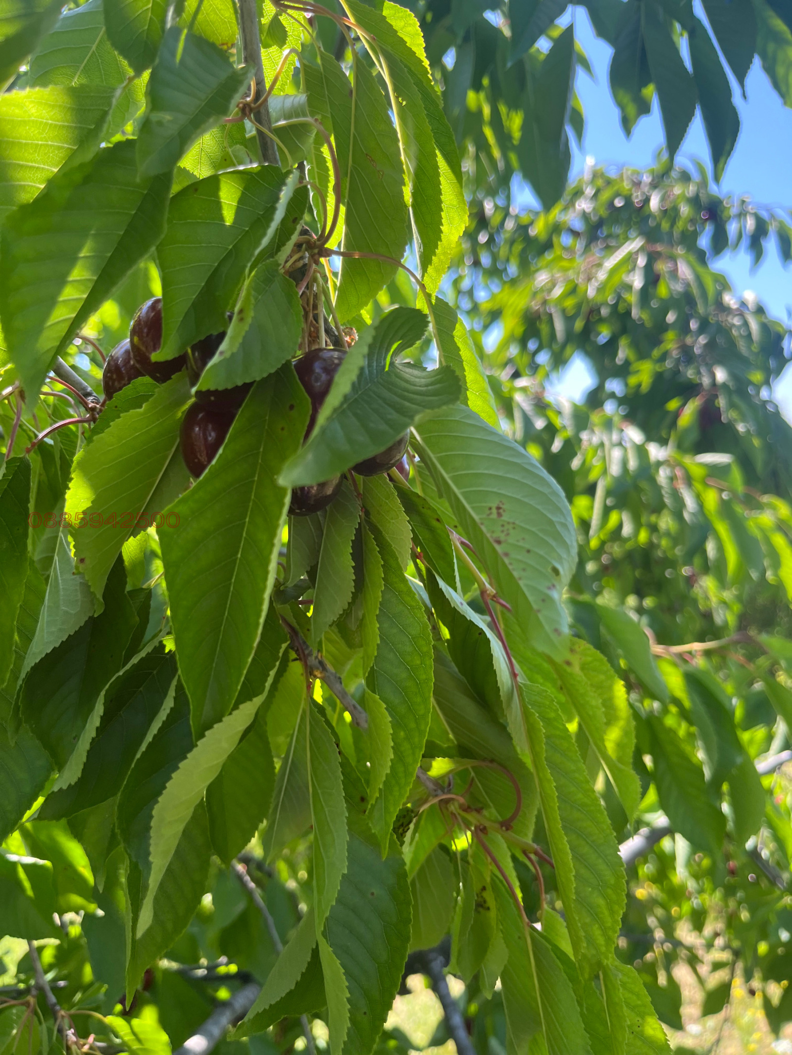 ������� ���������� ���� | Imot.bg � ����������� 1