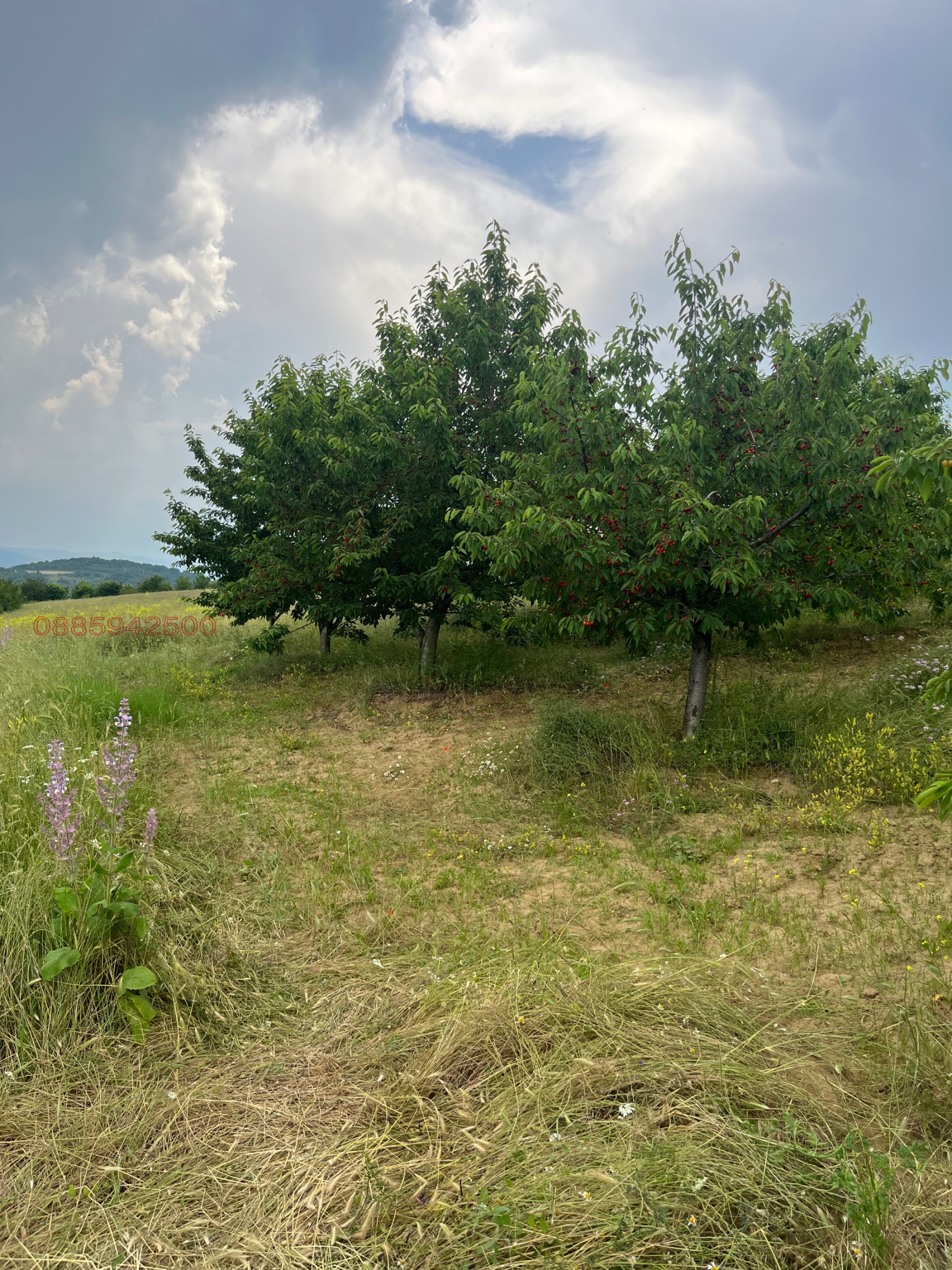 ������� ���������� ���� | Imot.bg � ����������� 4