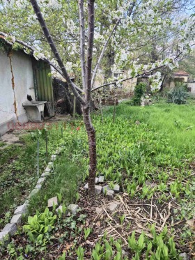 ������� ���� | Imot.bg � ����� ������ 8