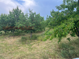 ������� ���������� ���� | Imot.bg � ����� ������ 5