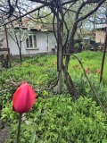 Продава КЪЩА, гр. София, Орландовци, снимка 2