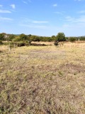 Продава ПАРЦЕЛ, област Бургас, гр. Черноморец • 30000 € • 14472989 — Holmes.bg